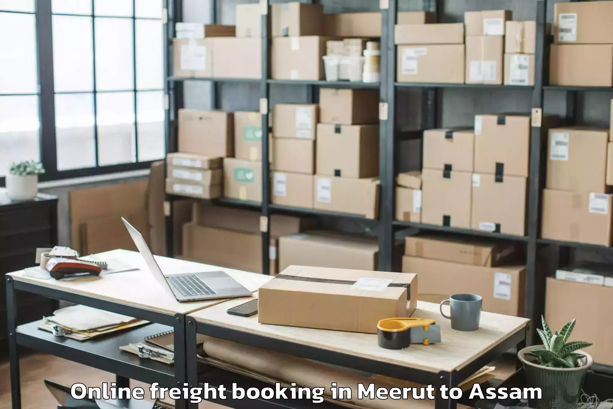 Professional Meerut to Mirza Kamrup Online Freight Booking